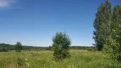 Земельные участки в Ленинградской области в Гатчинском районе, в Вырицком городском сельском поселении для производственной деятельности общей площадью 655 га